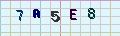 visual captcha